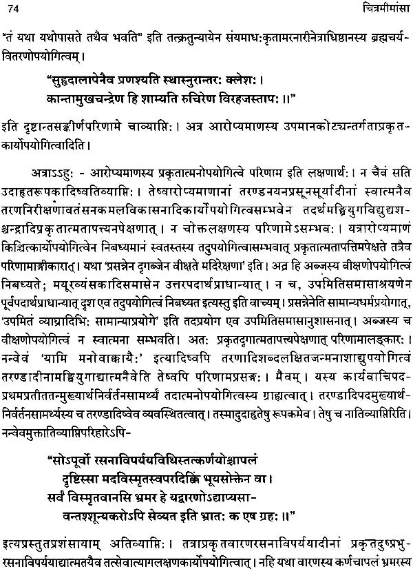 Citra Mimamsa of Appayya Dikshita - Retail Maharaj