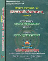 Rahasyatraya Mimamsa Bhasyam of Ramanuja Set of 2 Volumes - Retail Maharaj
