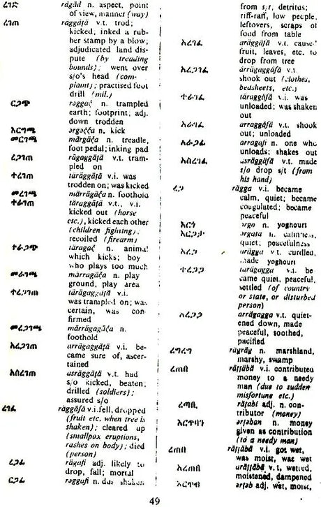 Amharic-English English-Amharic Dictionary - Retail Maharaj