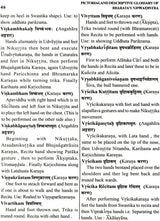 Pictorial & Descriptive Glossary of Bharata’s Natyasastra (A Student's Companion) - Retail Maharaj