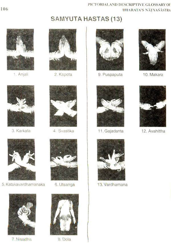 Pictorial & Descriptive Glossary of Bharata’s Natyasastra (A Student's Companion) - Retail Maharaj
