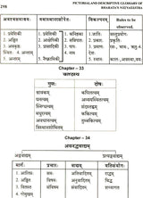 Pictorial & Descriptive Glossary of Bharata’s Natyasastra (A Student's Companion) - Retail Maharaj