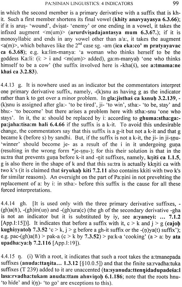 Paṇinian Linguistics - Retail Maharaj