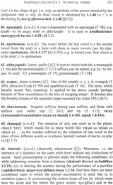 Paṇinian Linguistics - Retail Maharaj