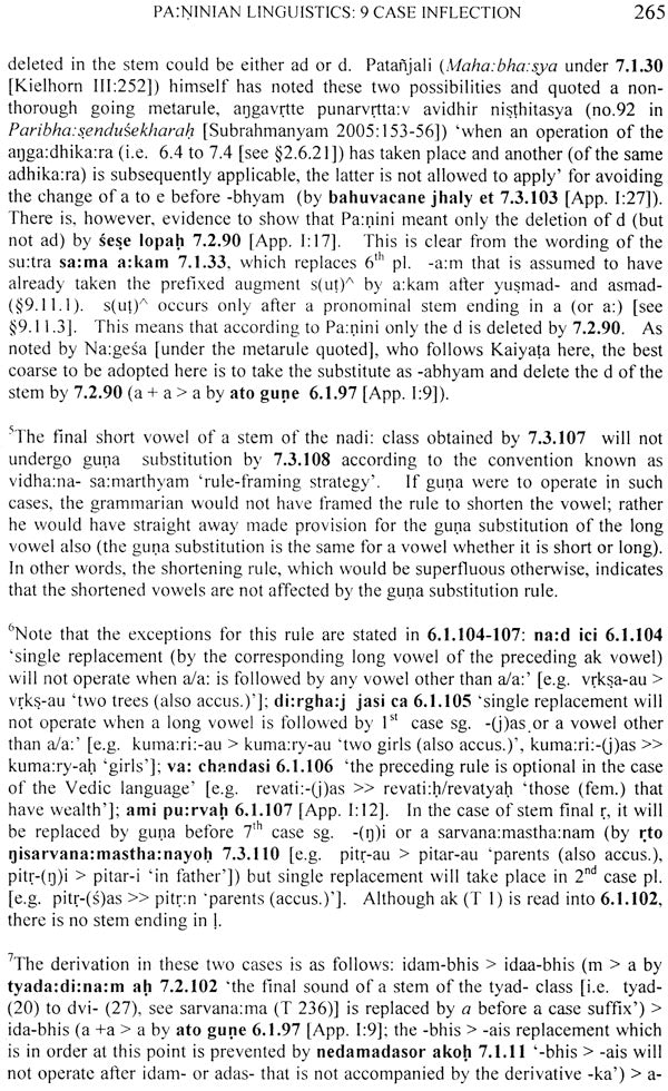 Paṇinian Linguistics - Retail Maharaj