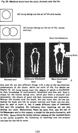 Mechanics of The Doomsday and Life After Death (The Ultimate Fate of The Universe as Seen Through The Holy Qur’an) - Retail Maharaj