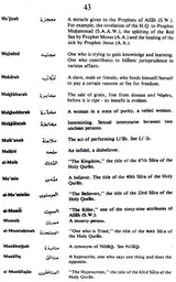 A Concise Dictionary of Islamic Terms - Retail Maharaj