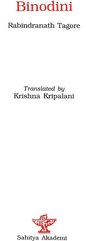 Binodini (A Novel) - Retail Maharaj