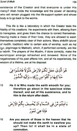 The Mercy of Qur'an and The Advent of Zaman (Commentary on Four Suras) - Retail Maharaj