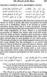 Life and Work of Muhammad Jalal-Ud-Din Rumi - Retail Maharaj
