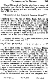 Life and Work of Muhammad Jalal-Ud-Din Rumi - Retail Maharaj