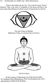 An Amazing Autobiography of A Siddha Yogi - Khoka Bhattacharya - Retail Maharaj