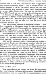 Understanding Islam Through Hadis (Religious Faith or Fanaticism?) - Retail Maharaj
