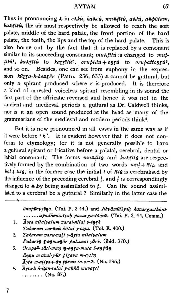 History of Grammatical Theories in Tamil