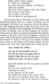 Tea Garden Literature - Retail Maharaj