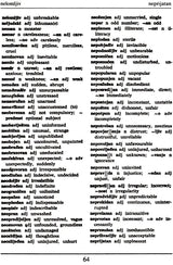 Dictionary (English-Croatian Croatian-English) (An old and Rare Book) - Retail Maharaj