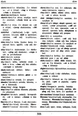 Dictionary (English-Croatian Croatian-English) (An old and Rare Book) - Retail Maharaj