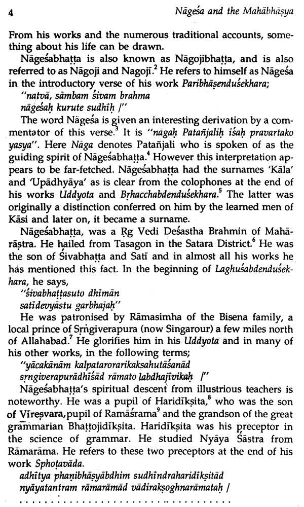 Nagesha and the Mahabhashya - Retail Maharaj