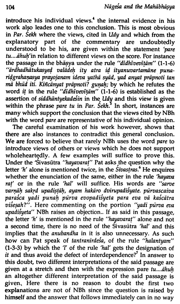 Nagesha and the Mahabhashya - Retail Maharaj