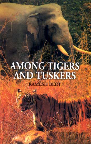 Among Tigers and Tuskers - Retail Maharaj