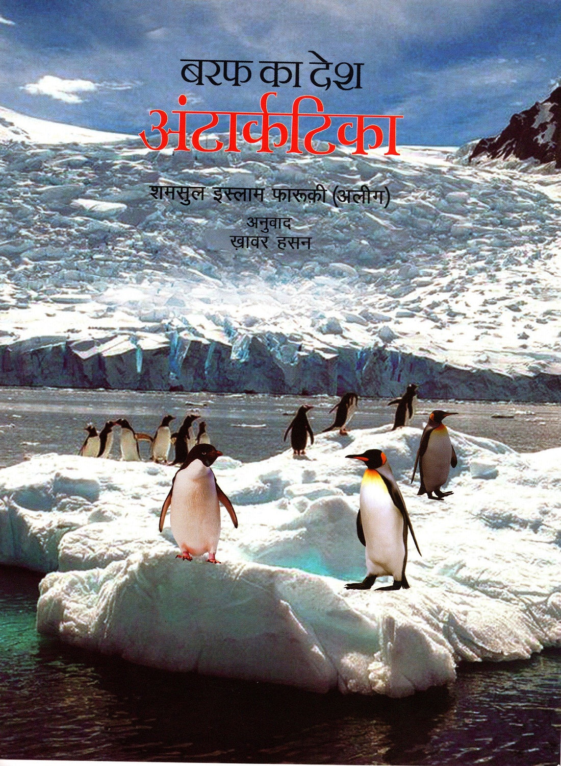 BARF KA DESH ANTARCTICA - Retail Maharaj