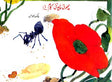 Busy Ants (Urdu) - Retail Maharaj