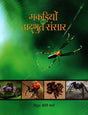 MAKDIYO KA ADBHUT SANSAR - Retail Maharaj