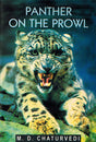 PANTHER ON THE PROWL - Retail Maharaj