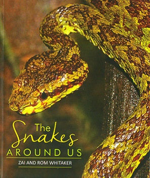 The Snakes Around Us - Retail Maharaj