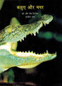THE WORLD OF TURTLES AND CROCODILES - Retail Maharaj