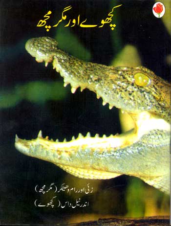 The World of Turtles and Crocodiles (Urdu) - Retail Maharaj