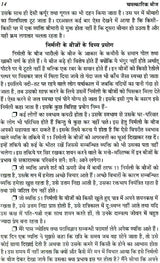 Magical Seeds - Retail Maharaj