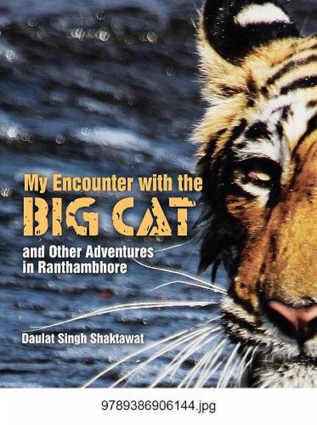 My Encounter with the BIG CAT and Other Adventures in Ranthambhore - Retail Maharaj