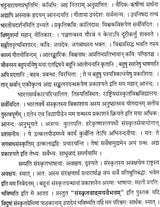 Essays on Sanskrit Literature - Retail Maharaj