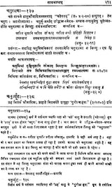 Commentary on Vishnu Sahasranama (Sanskrit & Hindi Translation) – Set of 4 Volumes - Retail Maharaj