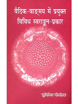 Various Markings of Sound in The Vedas (Sanskrit Text with Hindi Translation) - Retail Maharaj