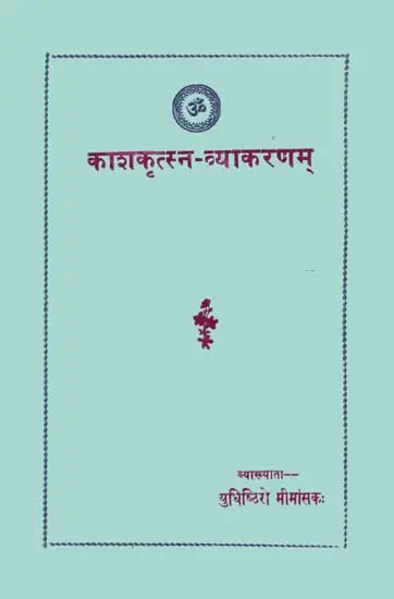 Kashkritsna Vyakaran (Sanskrit Only) - Retail Maharaj
