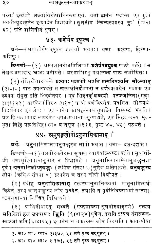 Kashkritsna Vyakaran (Sanskrit Only) - Retail Maharaj