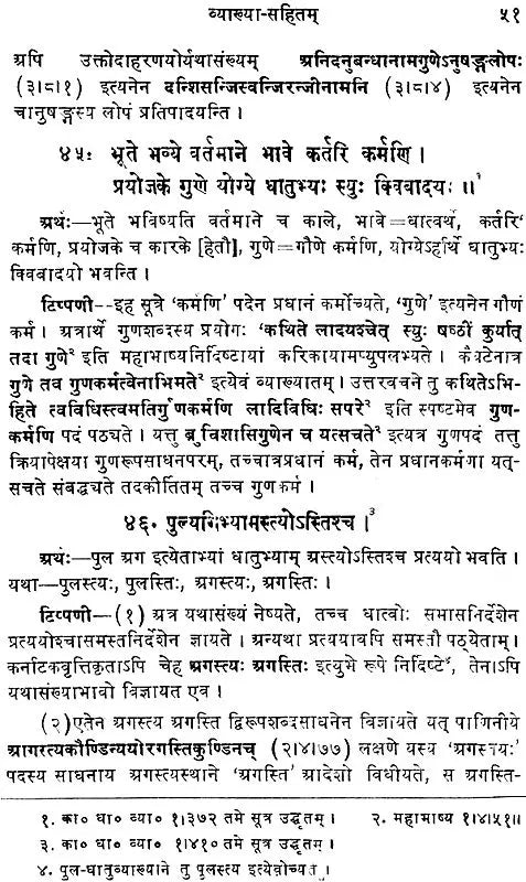 Kashkritsna Vyakaran (Sanskrit Only) - Retail Maharaj