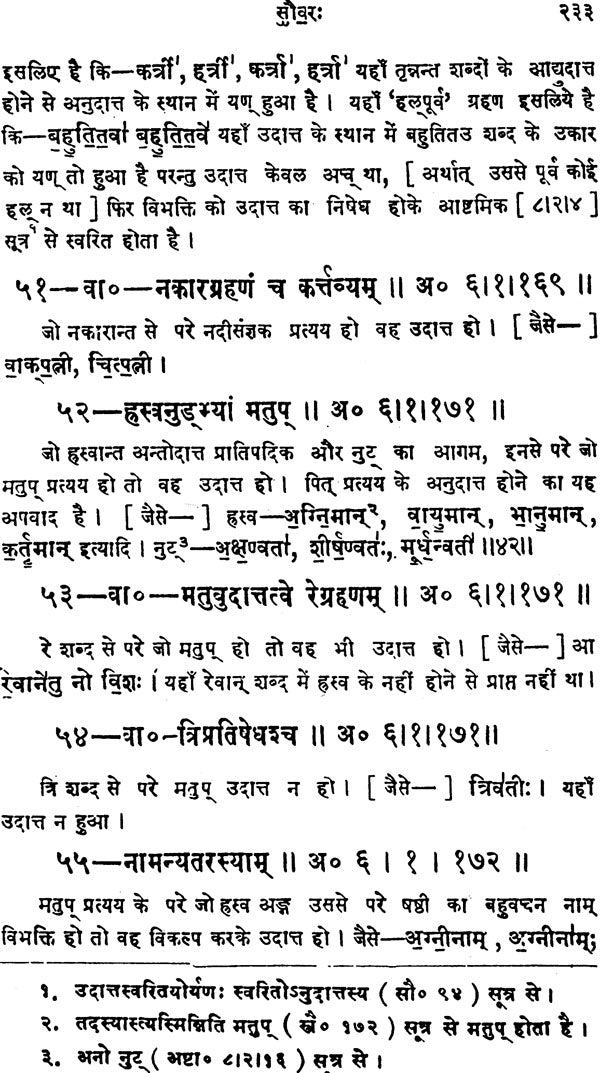 Vedic Swara Mimamsa - Retail Maharaj