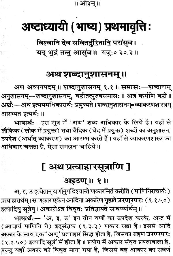Astadhyayi Bhashya (Set of 3 Volumes) - Retail Maharaj