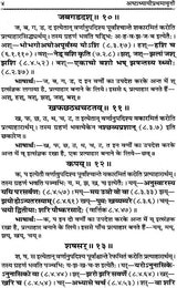 Astadhyayi Bhashya (Set of 3 Volumes) - Retail Maharaj