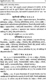 Astadhyayi Bhashya (Set of 3 Volumes) - Retail Maharaj
