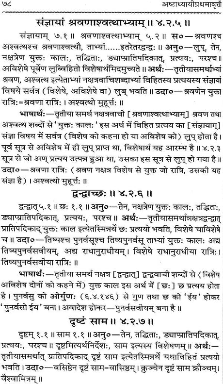 Astadhyayi Bhashya (Set of 3 Volumes) - Retail Maharaj