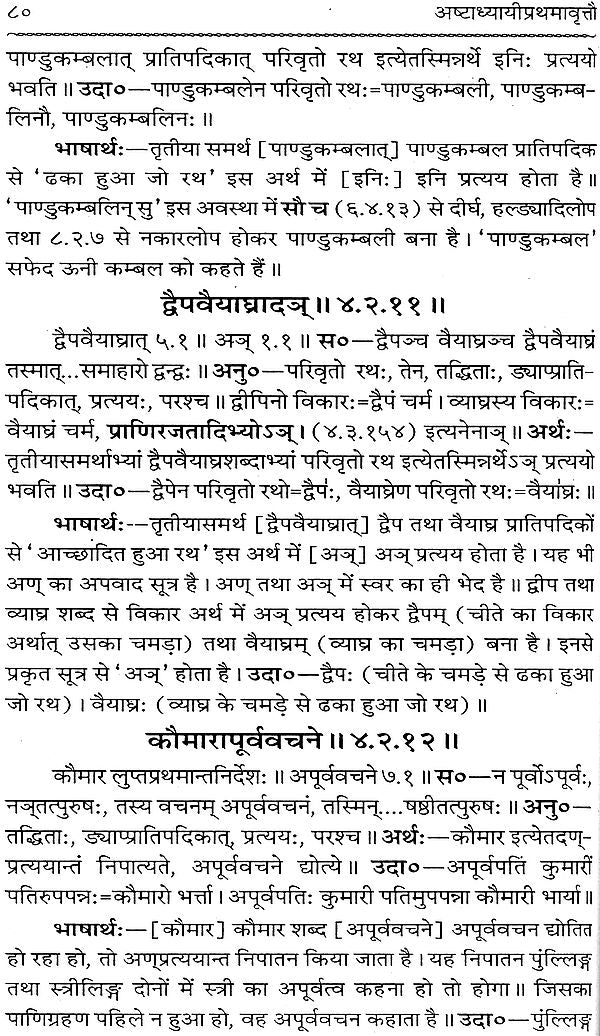 Astadhyayi Bhashya (Set of 3 Volumes) - Retail Maharaj