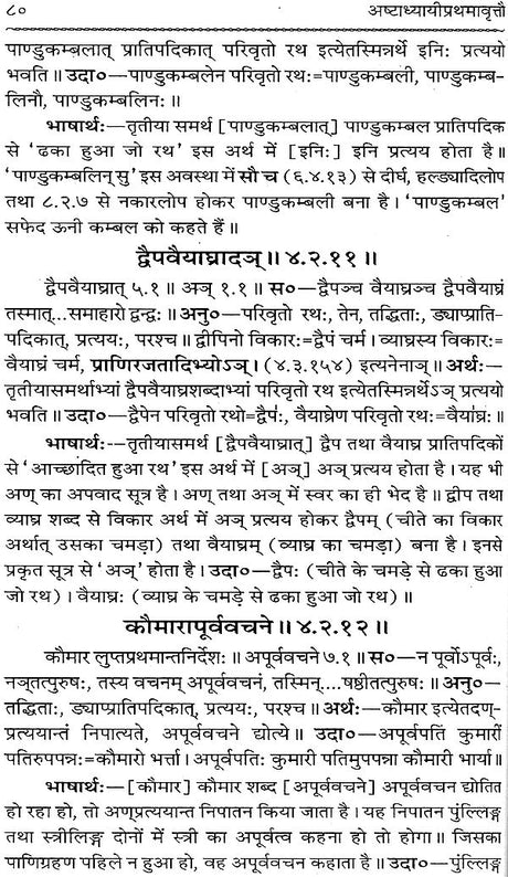 Astadhyayi Bhashya (Set of 3 Volumes) - Retail Maharaj