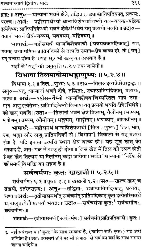 Astadhyayi Bhashya (Set of 3 Volumes) - Retail Maharaj