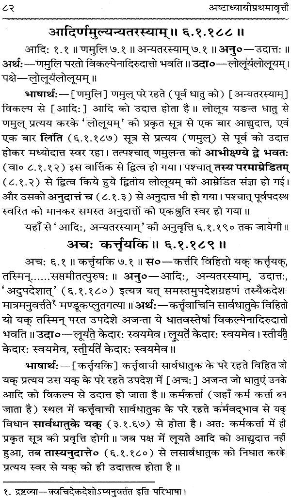 Astadhyayi Bhashya (Set of 3 Volumes) - Retail Maharaj