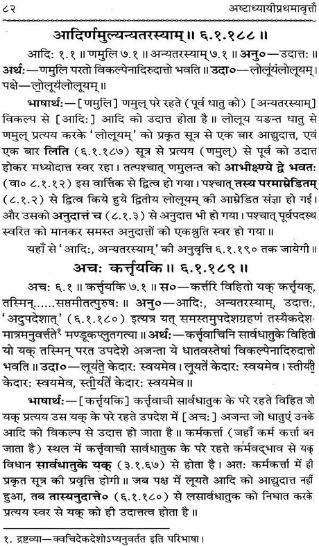 Astadhyayi Bhashya (Set of 3 Volumes) - Retail Maharaj