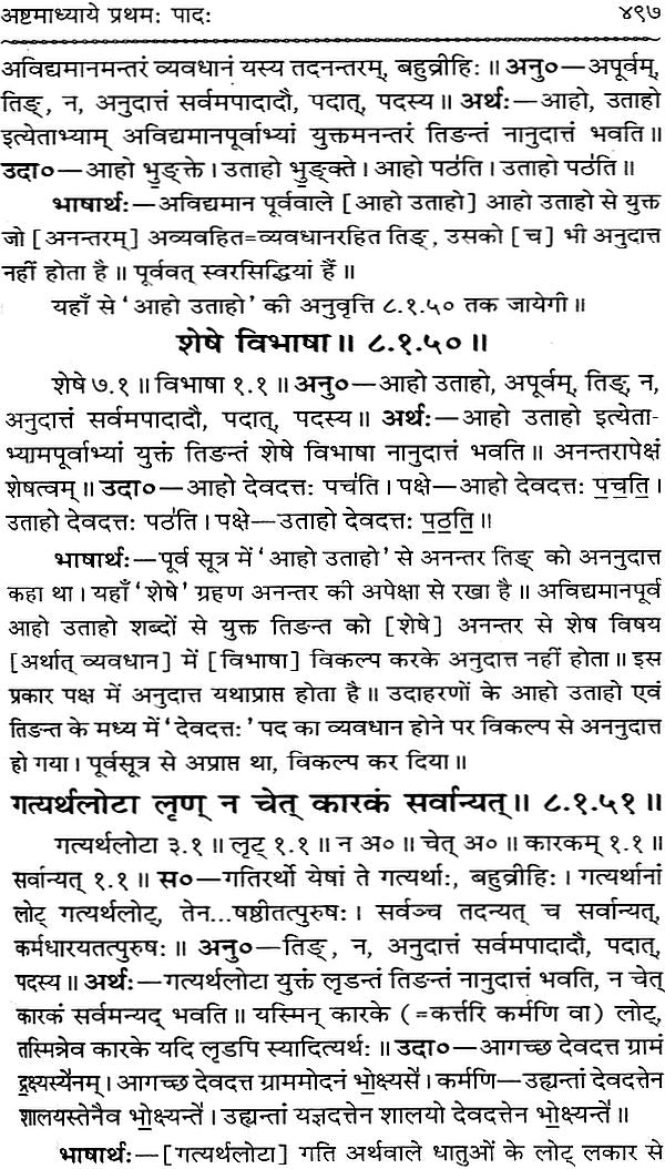 Astadhyayi Bhashya (Set of 3 Volumes) - Retail Maharaj